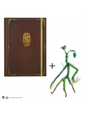 Libreta tapa dura y marcapáginas - Newt Scamander