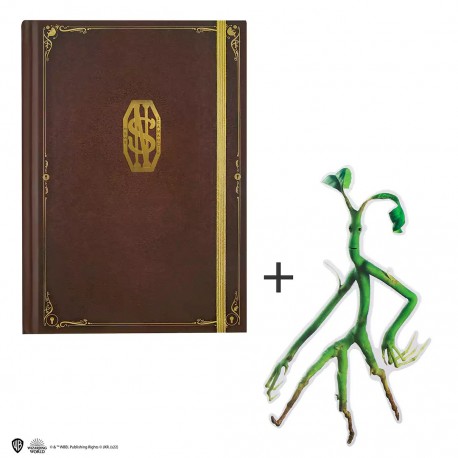 Libreta tapa dura y marcapáginas - Newt Scamander