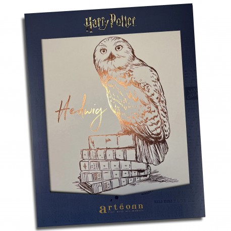 Póster de coleccionista Hedwig - Harry Potter