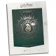 Póster de coleccionista Slytherin - Harry Potter