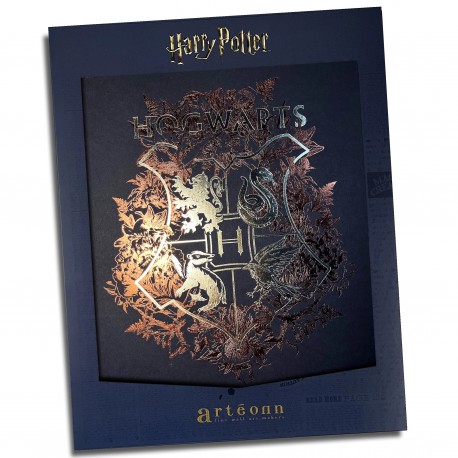 Póster de coleccionista Hogwarts - Harry Potter