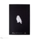 Libreta tapa blanda - Harry Potter portrait