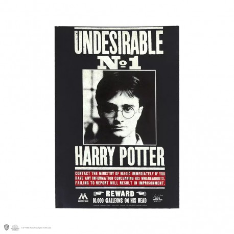 Libreta tapa blanda - Undesirable N°1