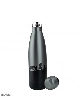 Botella isotérmica 500 ml - La Comunidad del Anillo - El Señor de los Anillos