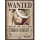 One Piece Set 2 Posters Chibi 52X38 Wanted Roger & Whitebeard