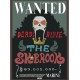 One Piece Set 2 Posters Chibi 52X38 Wanted Chopper & Brook