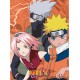 Naruto Set 2 Posters Chibi 52X38 Konoha Ninjas & Deserters