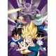 Dragon Ball Portafolio 9 Carteles Dbz/Grupo (21 9,7) X5