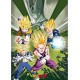 Dragon Ball Portafolio 9 Carteles Dbz/Grupo (21 9,7) X5
