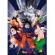 Dragon Ball Portafolio 9 Carteles Dbz/Grupo (21 9,7) X5