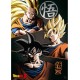 Dragon Ball Portafolio 9 Carteles Dbz/Grupo (21 9,7) X5