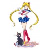 Sailor Moon Figura Acryl Sailor Moon & Luna