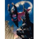 Dc Comics 9 Mini Posters 21X9,7Cm Liga De La Justicia