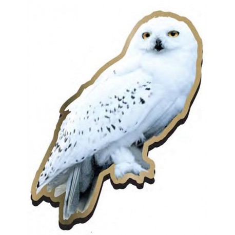 Pin Harry Potter Hedwig