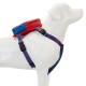 Arnés mini mochila perros Spiderman