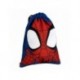 POCKET SCHOOL SPIDEY