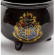 Cup 3D Harry Potter Cauldron Hogwarts