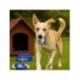 PET SET WELCOME REAL MADRID