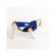 Sweat bleu pour chien Real Madrid