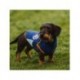 Moletom azul para cão Real Madrid