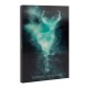 Caderno Lenticular A5 Harry Potter com Efeito 3D