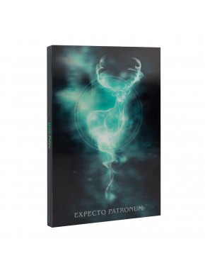 Cuaderno A5 Harry Potter con efecto 3D y tapa dura