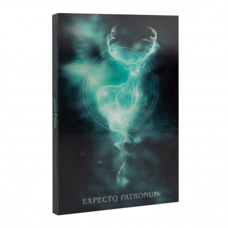 Cuaderno A5 Harry Potter con efecto 3D y tapa dura