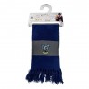Cachecol Harry Potter Ravenclaw Stripes Bold 160 cm