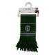 Écharpe Harry Potter Serpentard Rayures Fines 160 cm