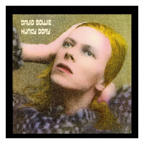 Puzzle 500 piezas David Bowie Hunky Dory