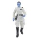 Figurine d'action Grand Amiral Thrawn
