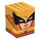 Caixa de Cartas Colecionável Hawkgirl™ DC Squaroes