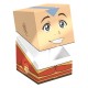 Caja coleccionable Avatar Aang de Ultimate Guard