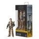 Figurine de Fern de Star Wars Black Series