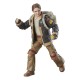 Figurine de Fern de Star Wars Black Series