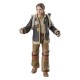 Figurine de Fern de Star Wars Black Series