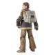 Figurine de Fern de Star Wars Black Series