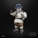 Figurine Bazil Star Wars The Acolyte Black Series