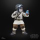 Figurine Bazil Star Wars The Acolyte Black Series