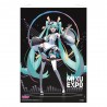 Pôster de Tecido Hatsune Miku Miku Expo 10º Aniversário 50x70 cm