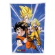 Plaid Polaire Dragon Ball Ver. 1 100 x 150 cm