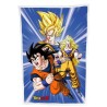 Plaid Polaire Dragon Ball Ver. 1 100 x 150 cm