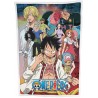 Plaid Polaire One Piece Ver. 4 100 x 150 cm par Halantex