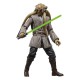 Figurine Kit Fisto Star Wars Black Series avec sabre laser