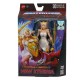 Figura articulada de She-Ra con accesorios dorados.