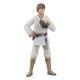 Figura Luke Skywalker Star Wars Black Series con sable de luz