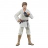 Figurine Luke Skywalker Star Wars Black Series 15 cm