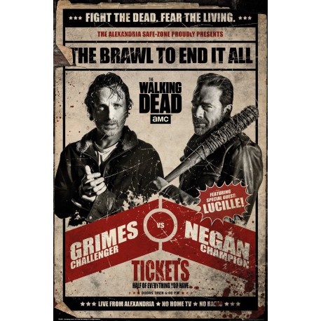 Poster The Walking Dead Fight