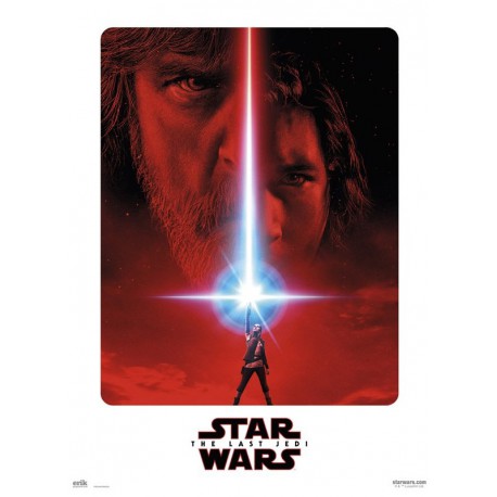 Mini Poster canvas, Star Wars Last of the Jedi