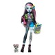 Muñeca Frankie Stein de Monster High con accesorios